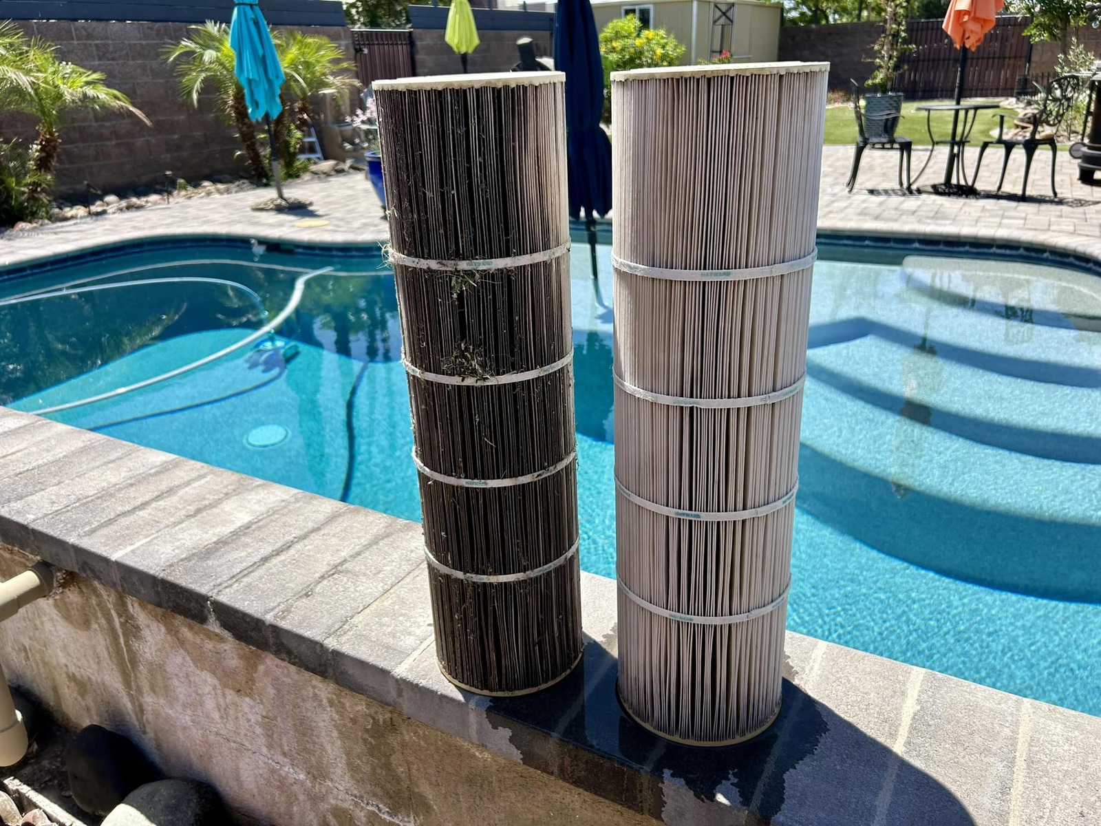 Filter cleaning phoenix arizona LGBT Pool service company arizona, phoenix arizona pool 